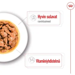 Royal Canin Mini Adult 48 x 85 g