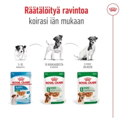 Royal Canin Mini Adult 48 x 85 g