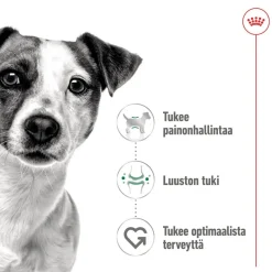 Royal Canin Mini Adult 48 x 85 g