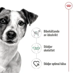 Royal Canin Mini Adult 48 x 85 g