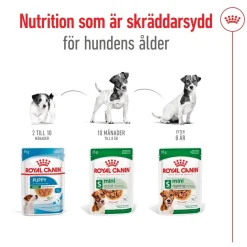 Royal Canin Mini Adult 48 x 85 g