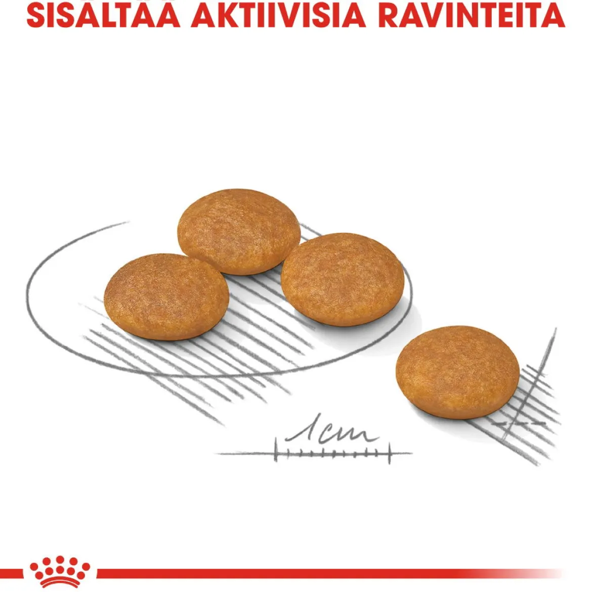 Royal Canin Mini Dermacomfort