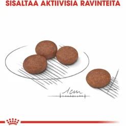 Royal Canin Mini Digestive Care