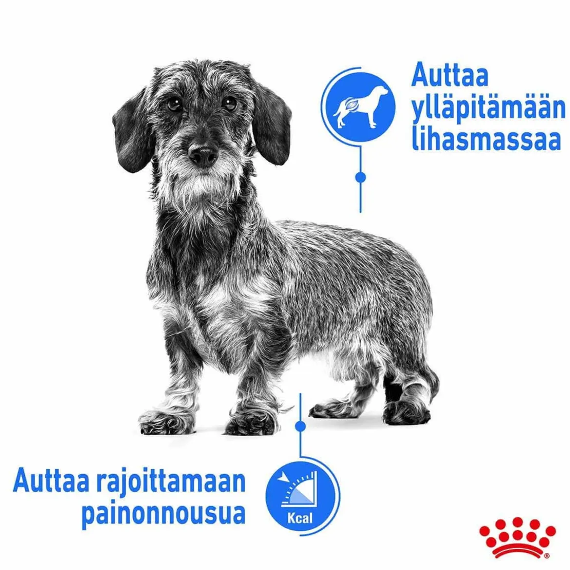 Royal Canin Mini Light Weight Care