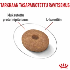 Royal Canin Mini Light Weight Care