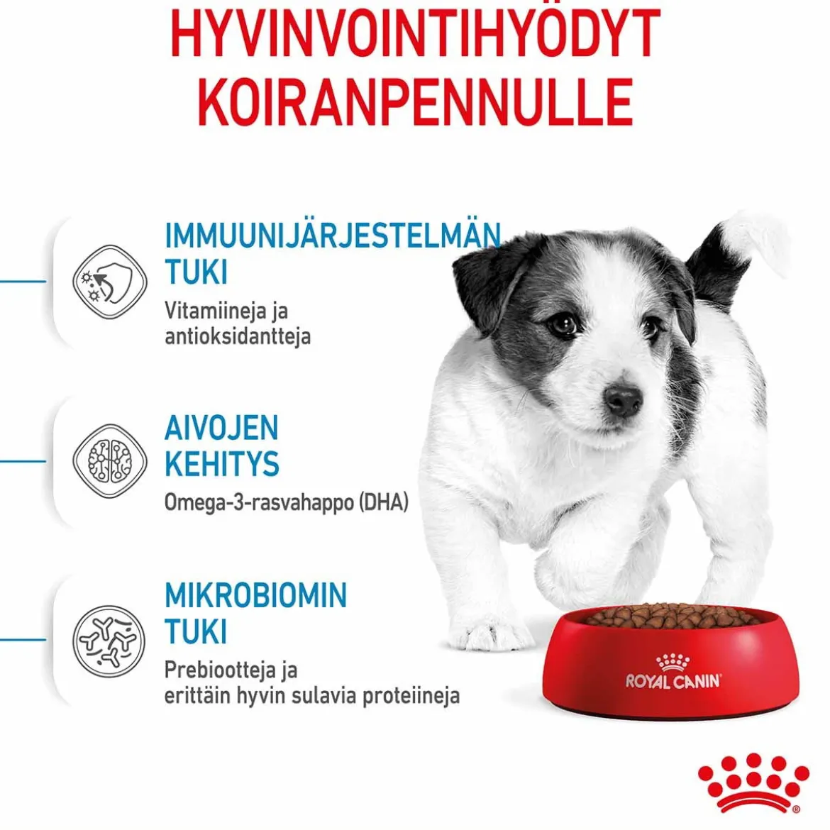 Royal Canin Mini Puppy