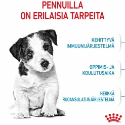 Royal Canin Mini Puppy
