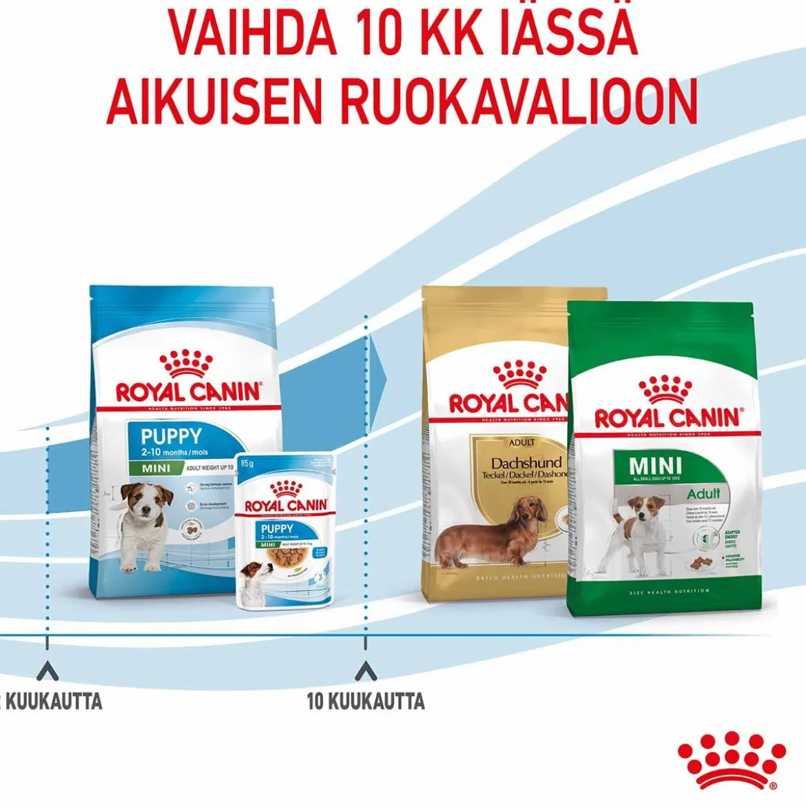 Royal Canin Mini Puppy