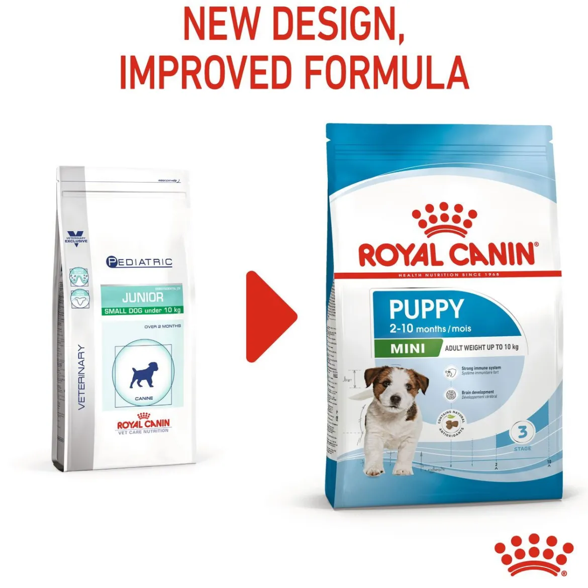 Royal Canin Mini Puppy