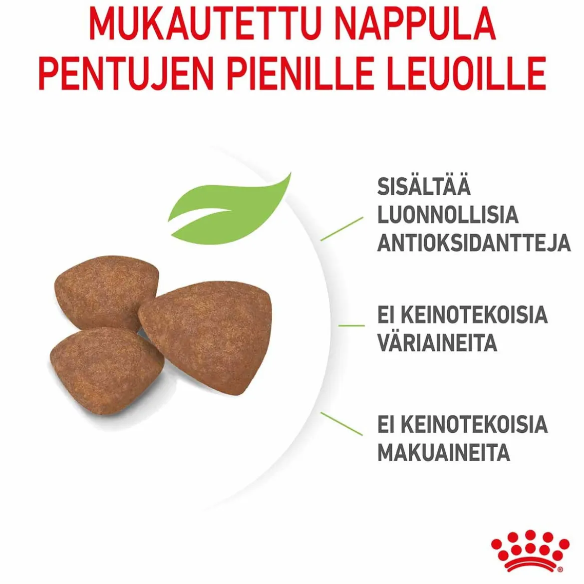 Royal Canin Mini Puppy
