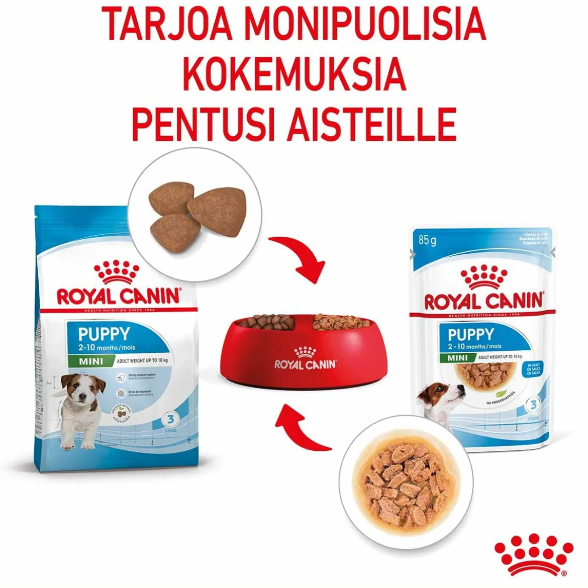 Royal Canin Mini Puppy Wet 12 x 85 g
