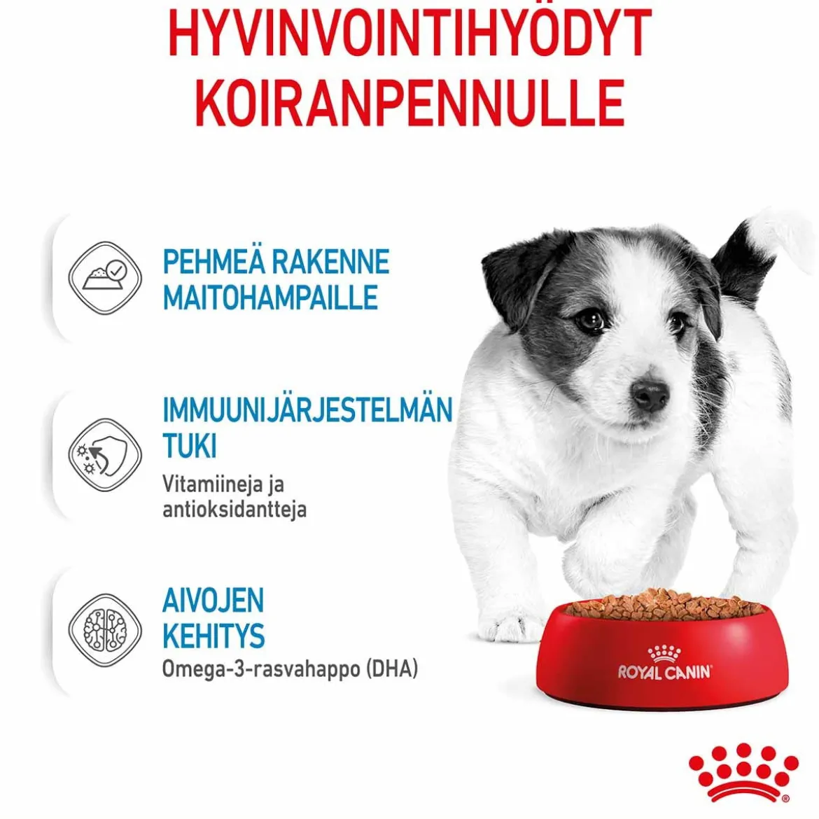Royal Canin Mini Puppy Wet 12 x 85 g