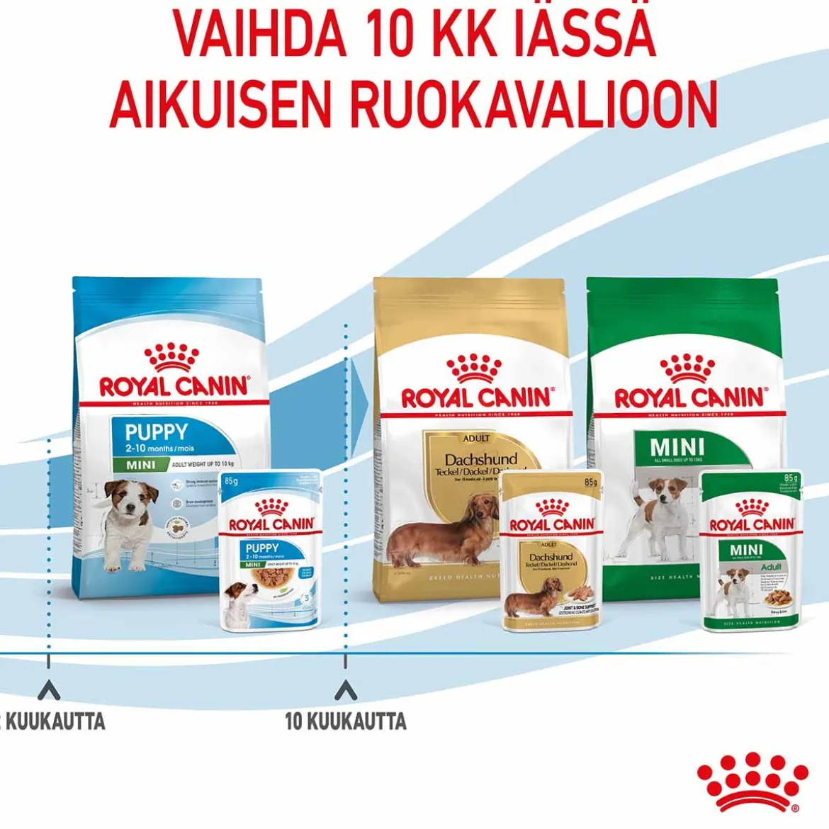 Royal Canin Mini Puppy Wet 12 x 85 g