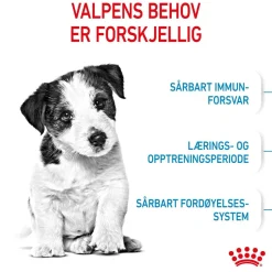 Royal Canin Mini Puppy 2 x 8kg