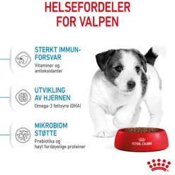 Royal Canin Mini Puppy 2 x 8kg
