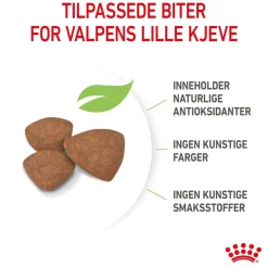 Royal Canin Mini Puppy 2 x 8kg