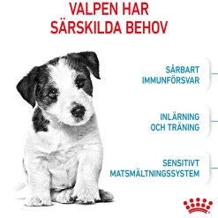 Royal Canin Mini Puppy 2 x 8kg