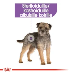 Royal Canin Mini Sterilised