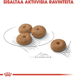 Royal Canin Mini Sterilised