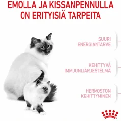 Royal Canin Mother & Babycat