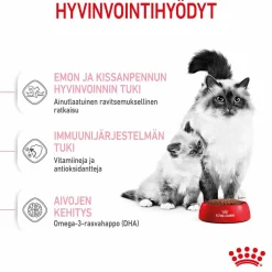 Royal Canin Mother & Babycat