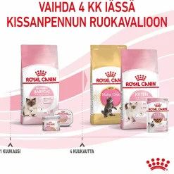 Royal Canin Mother & Babycat