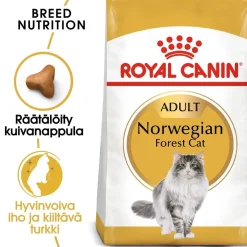 Royal Canin Norwegian Forest Cat