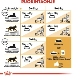 Royal Canin Norwegian Forest Cat