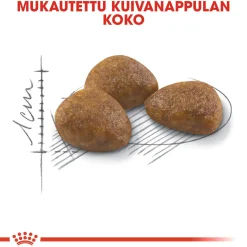 Royal Canin Outdoor 7+