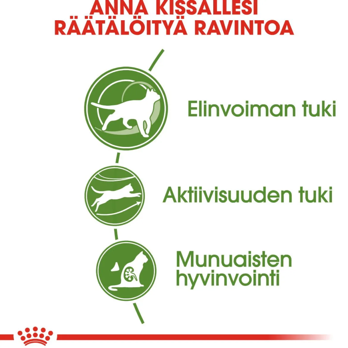 Royal Canin Outdoor 7+
