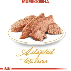 Royal Canin Persian Wet