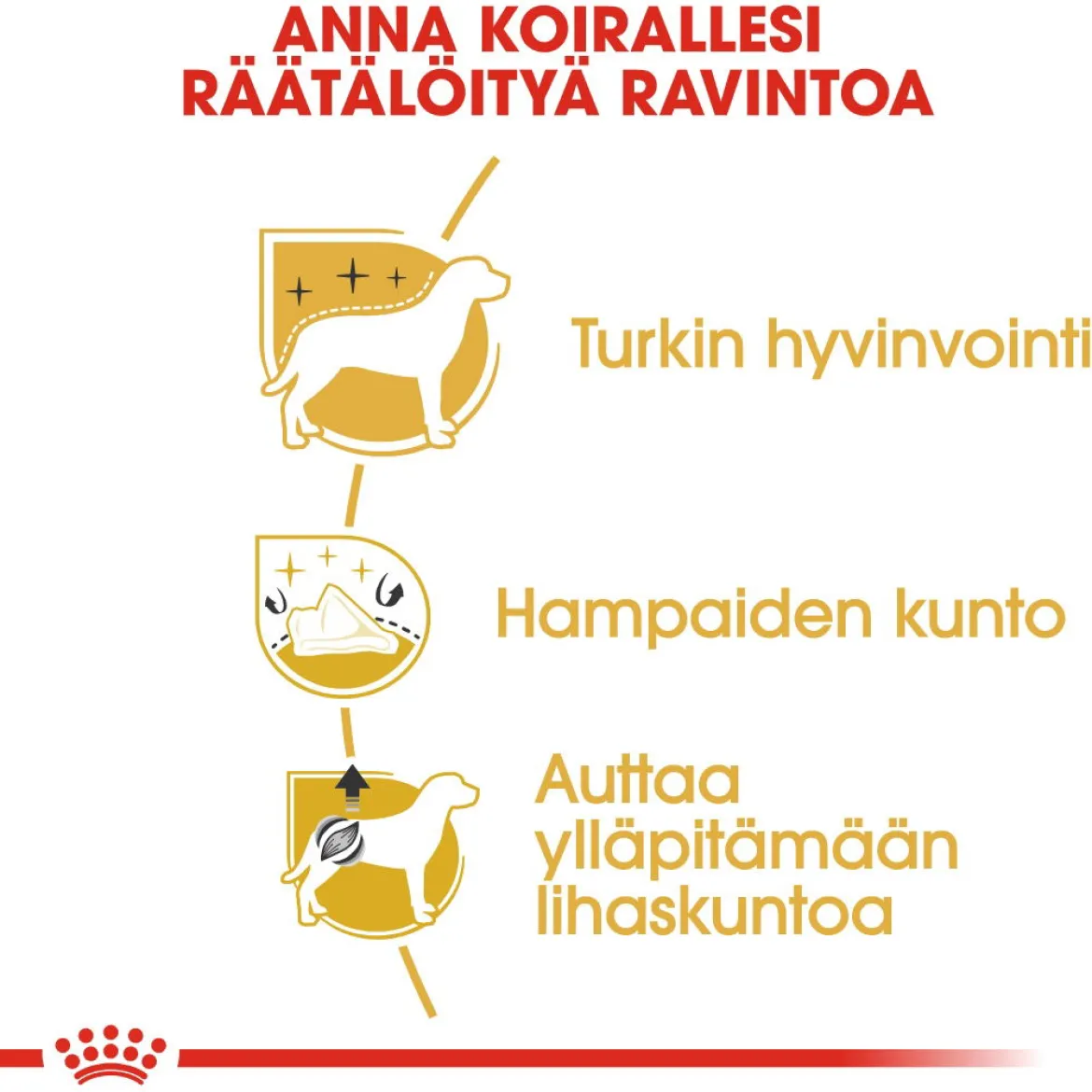 Royal Canin Poodle Adult