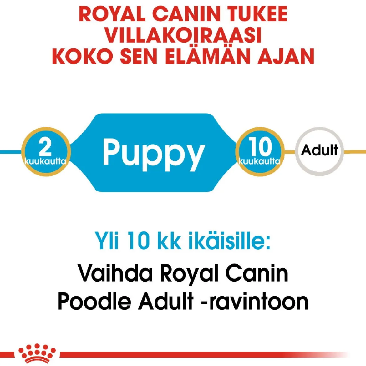 Royal Canin Poodle Puppy 3 kg