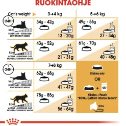 Royal Canin Ragdoll