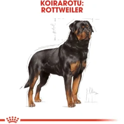 Royal Canin Rottweiler Adult 12 kg