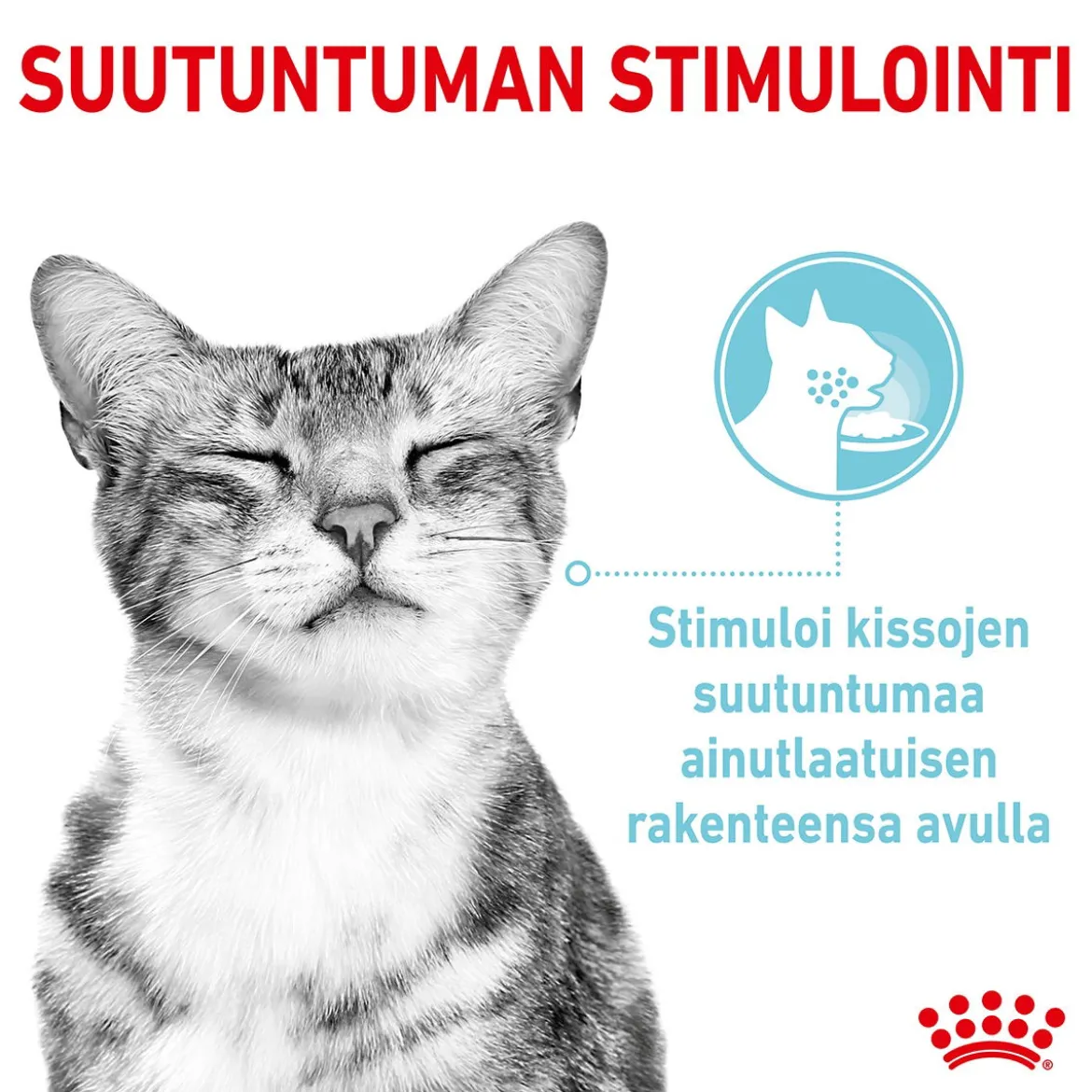 Royal Canin Sensory Feel Gravy, 12x85g