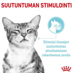 Royal Canin Sensory Feel Gravy 85g, 48-pack