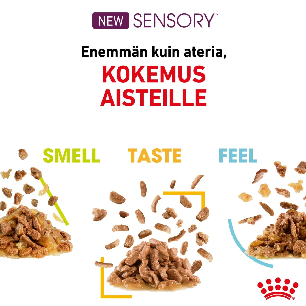 Royal Canin Sensory Feel Gravy 85g, 48-pack