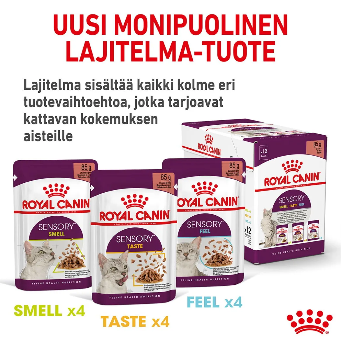 Royal Canin Sensory Smell Gravy, 12x85g