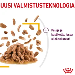 Royal Canin Sensory Taste Gravy, 12x85g