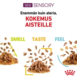 Royal Canin Sensory Taste Gravy 85g, 48-pack