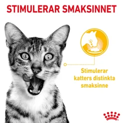 Royal Canin Sensory Taste Gravy 85g, 48-pack