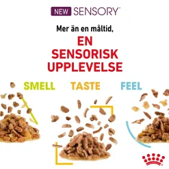 Royal Canin Sensory Taste Gravy 85g, 48-pack