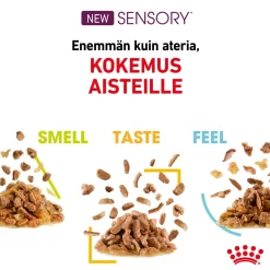 Royal Canin Sensory Taste Gravy 85g, 48-pack