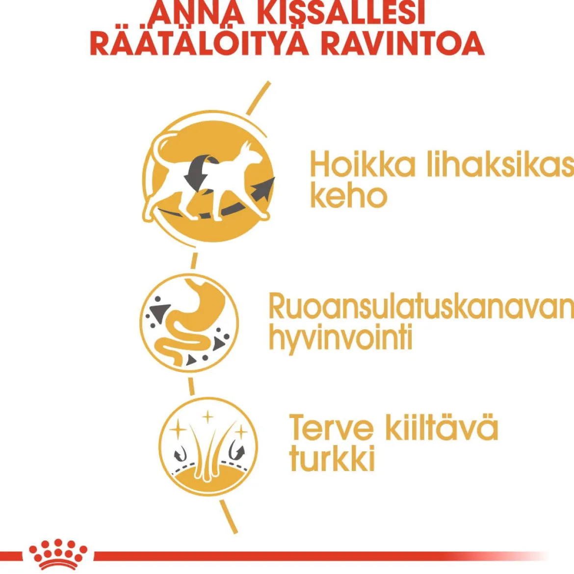 Royal Canin Siamese