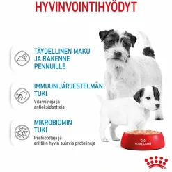 Royal Canin Starter Mother & Babydog