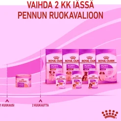 Royal Canin Starter Mother & Babydog