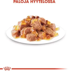 Royal Canin Sterilised Jelly, 12x85g