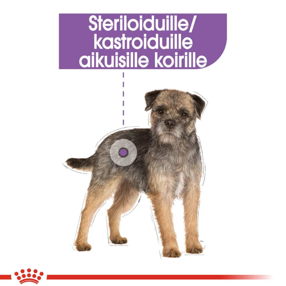 Royal Canin Sterilised wet 12 x 85 g
