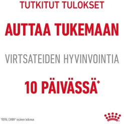 Royal Canin Urinary Care